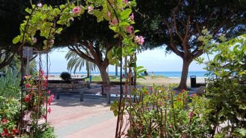 Estudio_Swan
